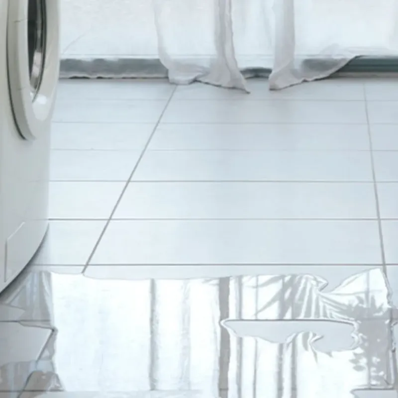 Appliance Leak Cleanup in Pawnee, IL