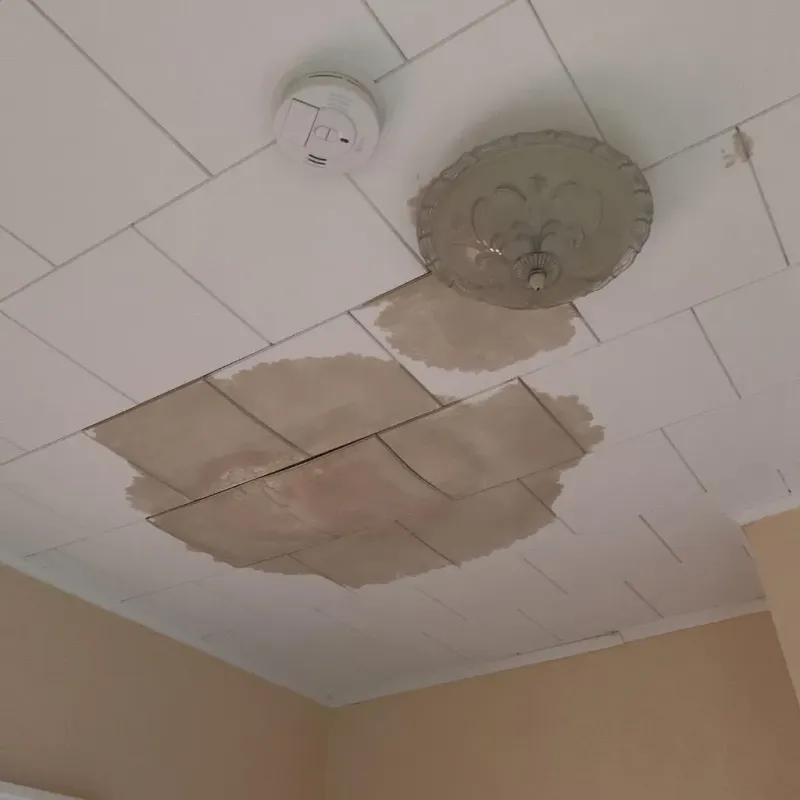 Ceiling Water Damage Repair in Pawnee, IL