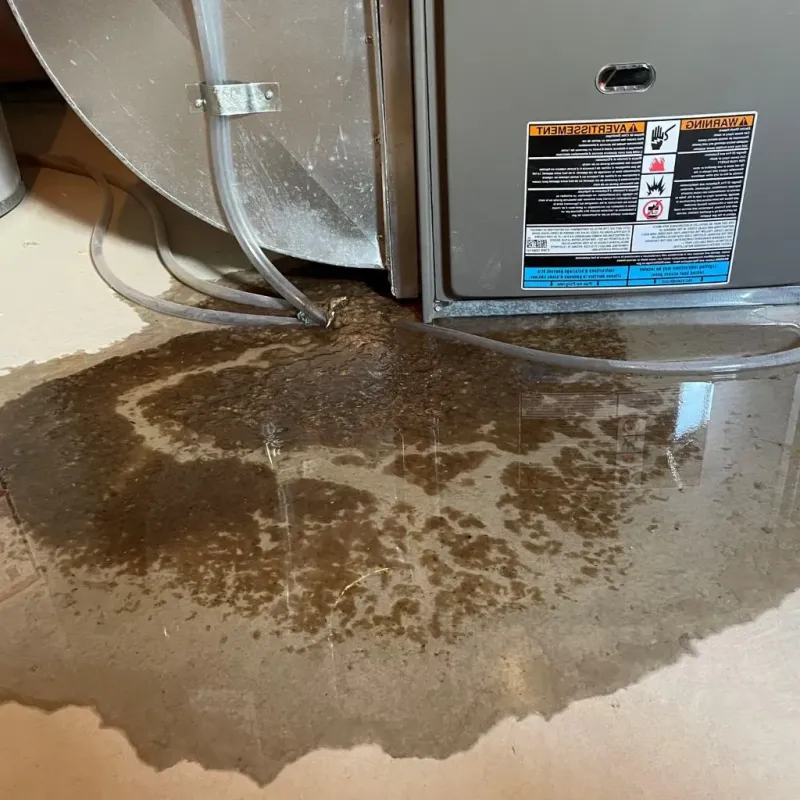 Pipe Burst and Leak Restoration in Pawnee, IL