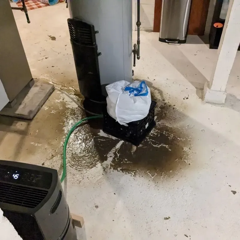 Sewage Backup Cleanup Service in Pawnee, IL
